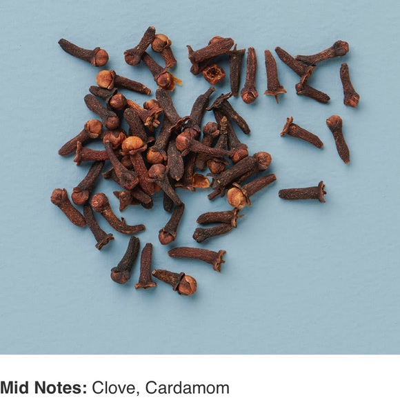 Large YANKEE CANDLE Cinnamon Stick 22 oz - Picture 4 of 12